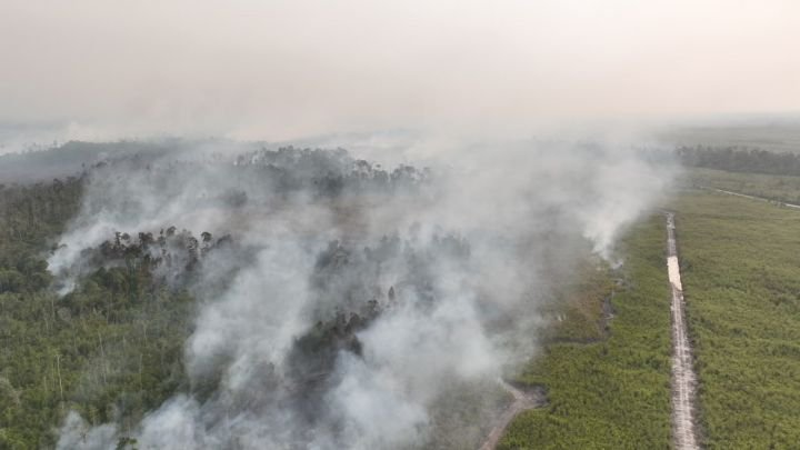 Karhutla Terjadi di 10 Distrik Merauke, BNPB Catat 63 Hektare Lahan Terbakar
