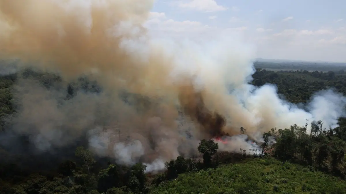 Karhutla di Kalimantan Sulit Dipadamkan, Akses dan Sumber Air Jadi Kendala