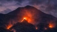 a_6ad30f88cd7dc Kebakaran Gunung Arjuno-Welirang, Pendakian Ditutup hingga Waktu yang Belum Ditentukan