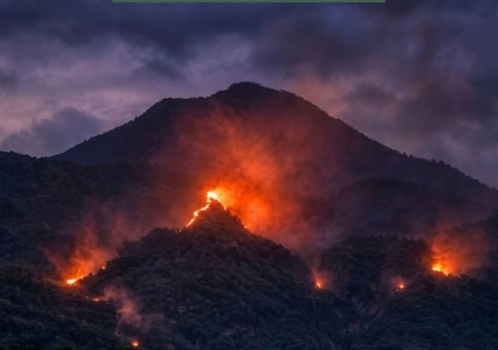 Kebakaran Gunung Arjuno-Welirang, Pendakian Ditutup hingga Waktu yang Belum Ditentukan