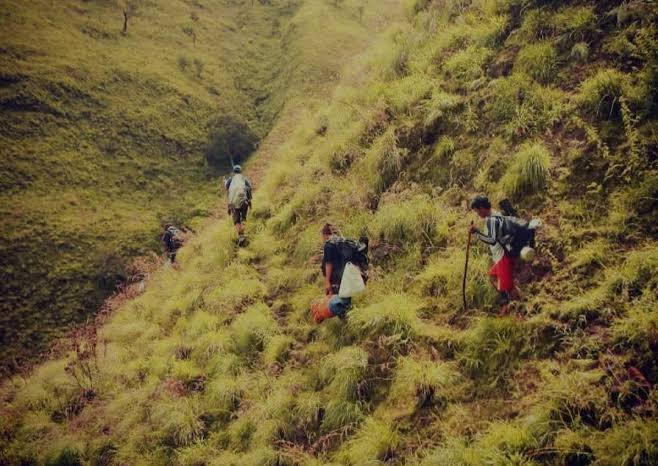 Pasca Karhutla, Jalur Pendakian Rinjani via Senaru Kembali Dibuka